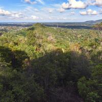 alun-alun-nikonian---part-14