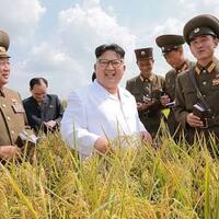 praperadilan-hary-tanoe-ditolak-polisi-fokus-lengkapi-berkas-perkara