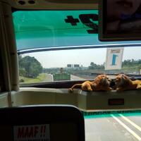 bismania-kaskus---bimakus---part-1