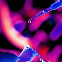 7-eksperimen--ngeri--ilmuwan-untuk-jadikan-manusia-layaknya-robot