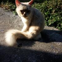 dear-diary--new-chapter---part-10