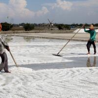 bareskrim-kkp-buru--tujuh-samurai