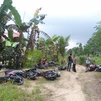 lokasi-sabung-ayam-digrebek-penonton-dan-penjudinya-kocar-kacir