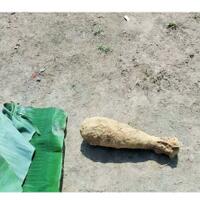 warga-bengkulu-tak-sengaja-mencangkul-mortir-aktif-sisa-pd-ii