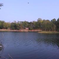 post-image