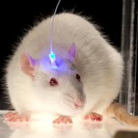 7-penemuan-paling-revolusioner-di-dunia-ilmu-pengetahuan-modern