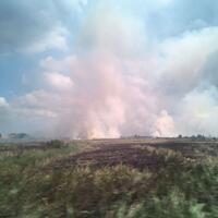 dua-hari-karhutla-di-ogan-ilir-tak-kunjung-padam