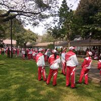 pesan-semangat-presiden-kepada-kontingen-sea-games