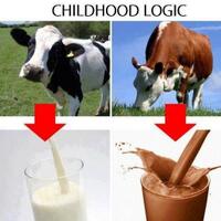 potret-kasih-sayang-sapi-kurban-kepada-majikannya-ini-viral