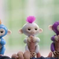 fingerlings-monkey--monyet-imut-yang-dapat-bergelantungan-di-jemari