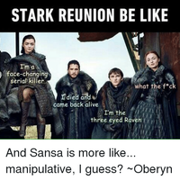 quotwinter-is-comingquot-house-stark-dalam-game-of-thrones