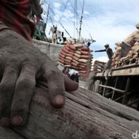 hore-harga-semen-di-papua-turun-dari-rp-2-juta-jadi-rp-500-ribu