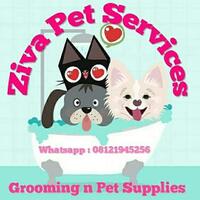 house-call-grooming-ziva-pet-service