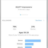 bekasi-terciduk-lihat-grafik-pengikut-akun-instagram-artis-jepang-ini-ternyata