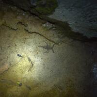 alun-alun-nikonian---part-14