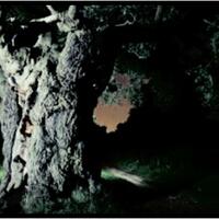 post-image