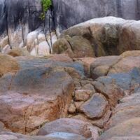 alun-alun-nikonian---part-14