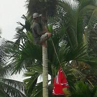 polisi-amankan-lima-bendera-bulan-bintang-yang-berkibar-bersamaan-hut-ri