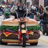 kenalkan-hammburger-harry-pemegang-rekor-dunia-kolektor-hamburger
