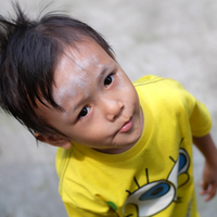 kavling-fujifilm-reborn