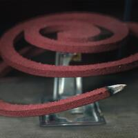 alun-alun-nikonian---part-14