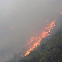 24-wisatawan-terjebak-kebakaran-di-nusa-penida-berhasil-diselamatkan