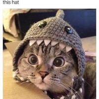 da-vinci-lounge-chapter-28--at-gook-mars