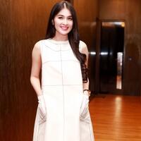 ini-wanti-wanti-suami-pada-sandra-dewi-yang-lagi-hamil-lima-bulan