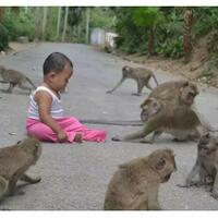 legenda-kera-kera-manja-penunggu-masjid-saka-tunggal