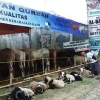 penjual-penjualan-hewan-kurban-lebih-sepi-daripada-tahun-kemarin
