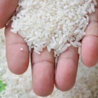 pedagang-di-sulut-tak-bisa-jual-beras-sesuai-het