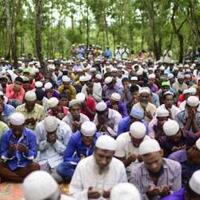 hendak-kurban-pada-idul-adha-muslim-rohingya-diserang