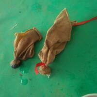 poli-supranatural-reborn---bantuan-gratis