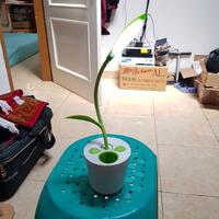 official-lounge-samsung-galaxy-s8--s8--unbox-your-phone