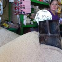 het-picu-lonjakan-serapan-beras-bulog-sulselbar