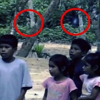 ini-gan-4-misteri-tentang-hutan-yang-tak-bisa-dijelaskan