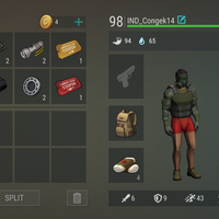 last-day-on-earth-survival