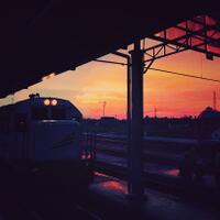 nongkrong-bareng-kamera-henpon