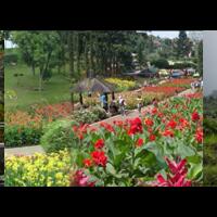 malang-memento-uno-horror--various-stories