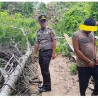 aksi-bos-perambah-kuasai-ratusan-hektare-hutan-jambi