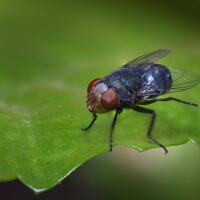 alun-alun-nikonian---part-14