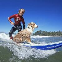berbagai-merk-surfwear-yang-paling-populer-dan-digemari