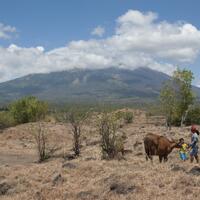 upaya-bnpb-mencegah-gunung-agung-memakan-korban
