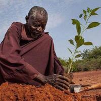 ikan-hingga-sperma-ini-8-benda-yang-terancam-langka-di-bumi