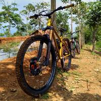 mtb-hardtail-lab