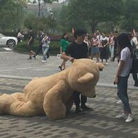 nyatakan-cinta-dengan-beruang-raksasa-pria-kaya-ini-tetap-ditolak-gadis-pujaannya