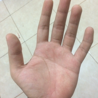 ramal-gratis-lewat-garis-tangan