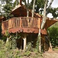 tebang-pohon-warga-sembarangan-bule-prancis-dipolisikan