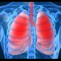 pantangan-makanan-untuk-penderita-hipertensi