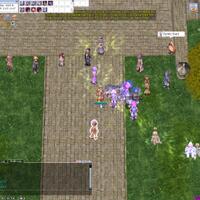 orchid-ragnarok-private-server-high-rate-server-play-to-win-server